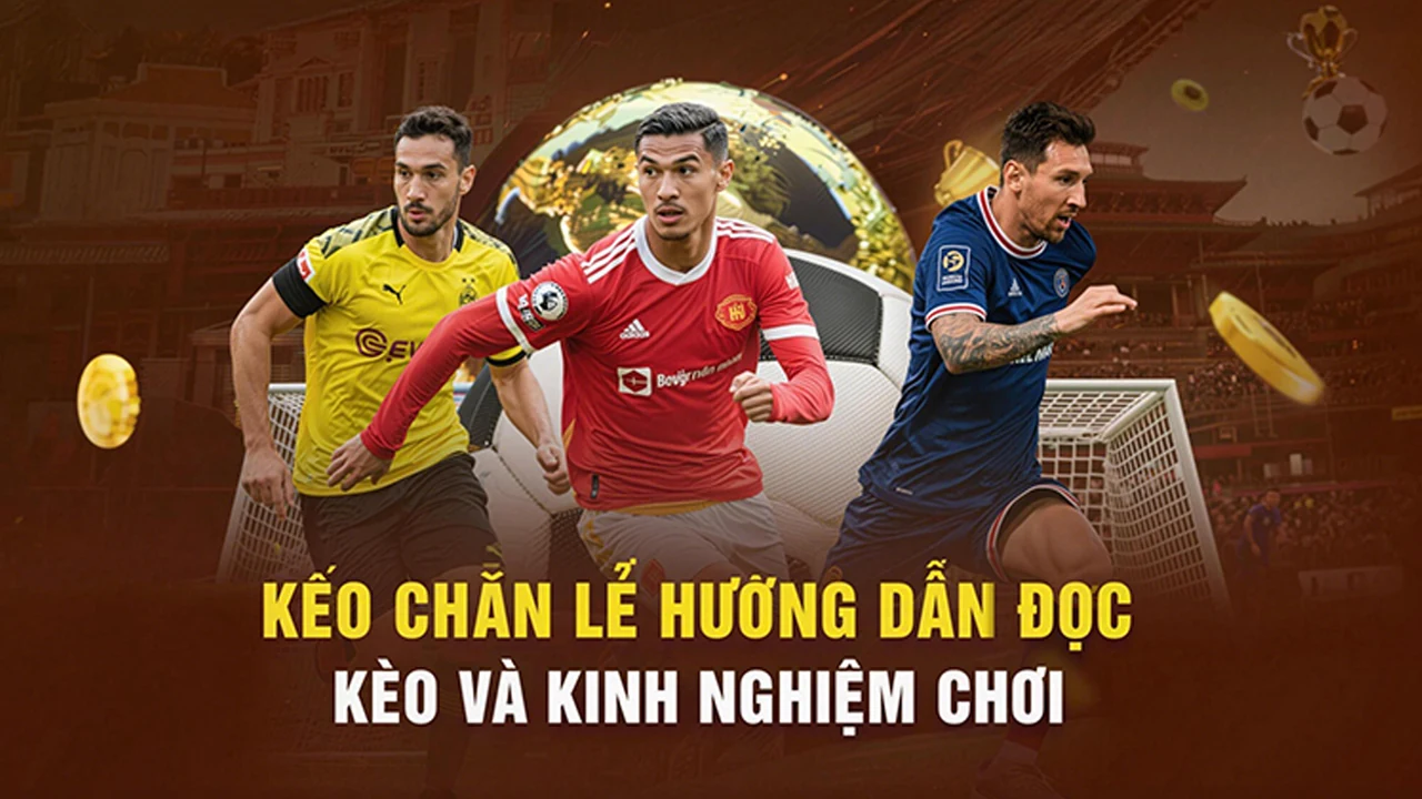Game bài trên MV88 – bước kiểm tra thực tế